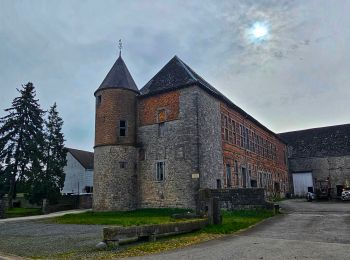 Tour Wandern Doische - Balade de Doische à Foisches - Photo