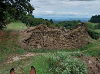 Trail Horseback riding Saint-Victor - petit tour le soleil - Photo