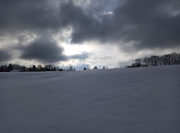 Tocht Ski randonnée Vagney - 21-01-23 Srn haut du tôt aprem - Photo