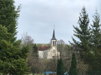 Tocht Stappen Messon - Entre Messon et Bucey - Photo