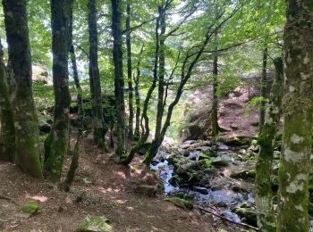 Trail Walking Mandagout - Cap de coté cascade Orgon - Photo