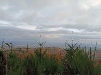 Trail Walking Cenves - circuit les bois  - Photo