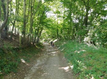 Trail Walking Saint-Pierre-de-Chandieu - 69-Saint Pierre de Chandieu 17km 400m MAI 2020 - Photo