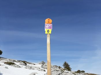Tocht Sneeuwschoenen Aillon-le-Jeune - GNB Bauges - Margeriaz  - Photo