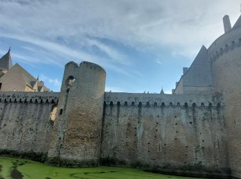 Excursión Senderismo Sarzeau - PR_56_Sarzeau_CA_03_Circuit1b_Sur-les-Pas-De-Nos-Ducs_20230916 - Photo