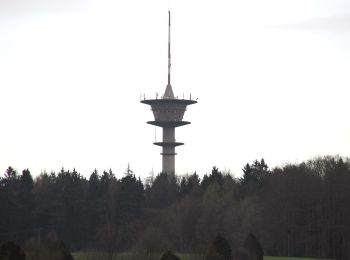 Tocht Te voet Heinrichsthal - Schwarzer Fuchs, Rundwanderweg Heinrichsthal - Photo