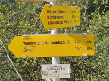 Excursión A pie Gemeinde Going am Wilden Kaiser - Wanderweg 33 - Niederkaiser - Photo