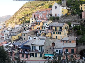 Tour Wandern Vernazza - Rando cinq Terre 4ème jour Vernazza-Riomaggiore - Photo