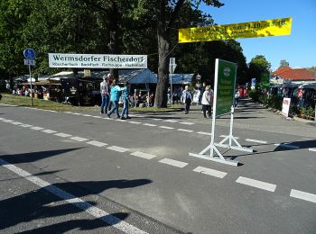 Tocht Te voet Wermsdorf - Wanderung nach Mutzschen - Photo