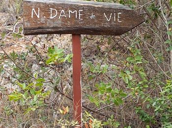 Randonnée Marche Fuilla - notre dame de vie Villefranche de Conflent - Photo