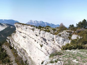 Trail Walking Aurel - Le Plateau de Solaure par Aurel - Photo