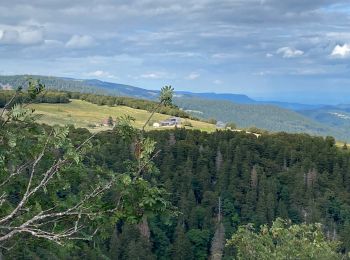 Tour Wandern Xonrupt-Longemer - Jardin d’altitude du haut Chita let - Trois fours - Photo