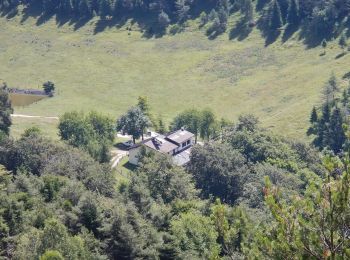 Excursión A pie Tremosine sul Garda - Vesio - Passo Nota - Photo