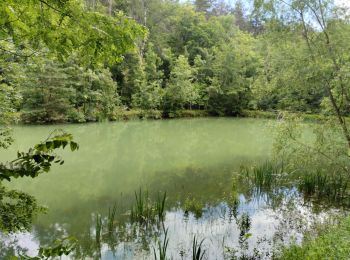 Tocht Stappen Soncourt-sur-Marne - rando étang de charmont - Photo