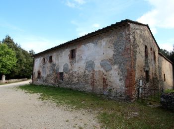 Tour Zu Fuß Monteriggioni - IT-103 - Photo