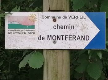 Tocht Stappen Verfeil - 2 juillet - Photo