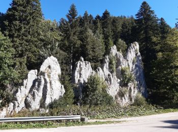 Tour Wandern Les Alliés - GTJ jour 7 - Photo