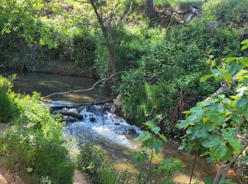 Tour Wandern Vitrolles - Vitrolles les Infernets - Photo