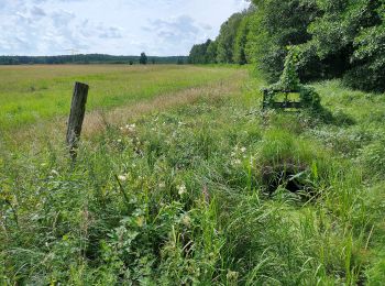 Tocht Te voet Onbekend - Müggel-Spree-Weg - Photo