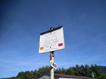 Tour Wandern Masevaux-Niederbruck - Les Dames nobles de Masevaux  - Photo