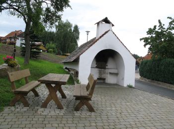 Tocht Te voet Pottenstein - Kirchenbirkig-Regenthal-Weidenloh - Photo