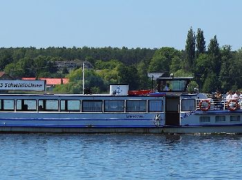 Percorso A piedi Lieberose - Rundwanderwg Baroldmühle-Weinberg-Spitzberg-Hoffnungsbay - Photo