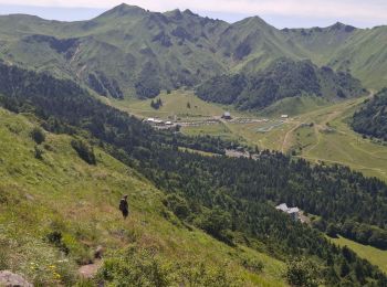 Trail Walking Mont-Dore - LE PUY DE SANCY PAR LE VAL DE COURRE ET LA TETE DE FLON  - Photo