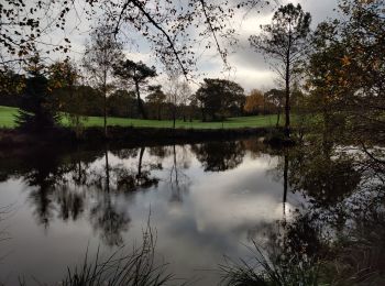 Tour Wandern Clohars-Fouesnant - 20191112 Clohars Fouesnant - Photo