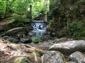 Tour Wandern Sewen - Le jeudi de Mai  - Photo