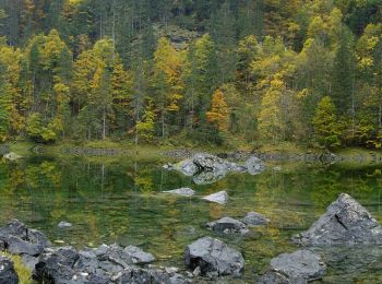 Randonnée A pied Gosau - Gosausee - Hinterer Gosausee - Photo