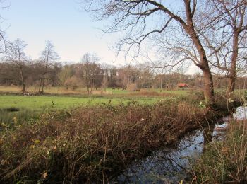 Tocht Te voet Renkum - Hartensepad - Photo