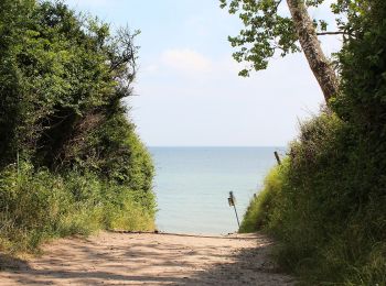 Randonnée A pied Dahme - Große Holzkoppel-Route - Photo