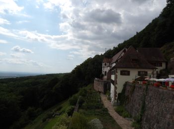 Tour Wandern Osenbach - osenbach-schauenberg - Photo