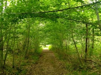 Randonnée Marche Lanquais - Lanquais 9,1km - Photo