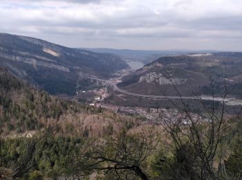 Trail Walking Le Poizat-Lalleyriat -  le chemin de l'écureuil - Photo