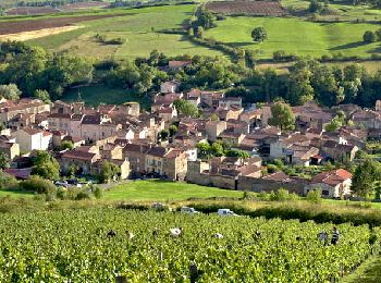 Excursión Senderismo Villeneuve - Villeneuve_Boudes_Chalus - Photo