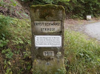 Tour Zu Fuß Themar - Themar-Rundwanderweg Grün - Photo