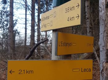 Trail Walking Corsavy - leca cabanes del faig14km 871m 4h45  - Photo