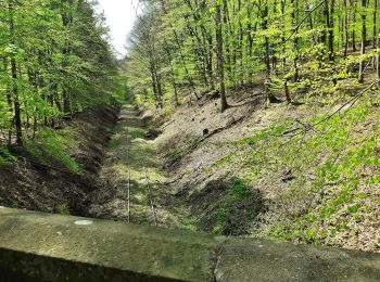 Trail On foot Taunusstein - Rundwanderweg rote Flagge - Photo