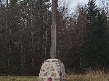 Randonnée Marche Brénod - Le Jorat 2 - Photo