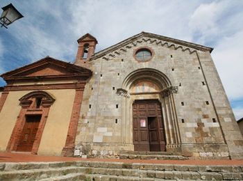 Tocht Te voet Torrita di Siena - Sentiero del Vinsanto - Photo