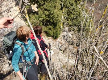 Trail Walking Choranche - grotte balme rousse  - Photo