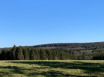 Randonnée Marche La Roche-en-Ardenne - Un petit tour dans les fagnes de la goutte en partant de Samree  - Photo