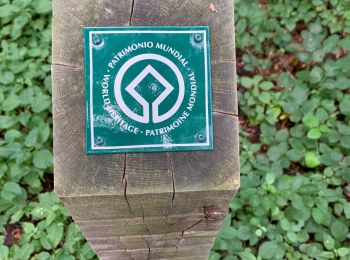Trail Walking Watermael-Boitsfort - Watermaal-Bosvoorde - Parc Solvay Grippensdelle - Photo