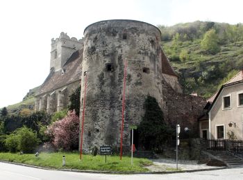 Percorso A piedi Gemeinde Weißenkirchen in der Wachau - St. Michael-Kuhberg (rot) - Photo