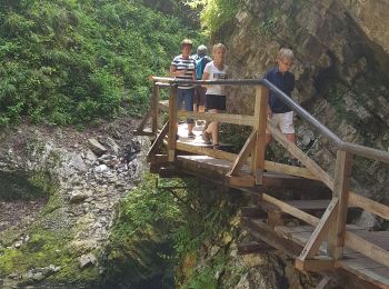 Trail On foot Gorje - Wikiloc - Vintgar Sveta katerina - Photo