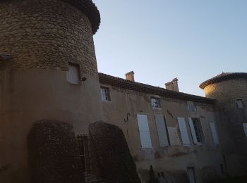 Tour Wandern Loriol-sur-Drôme - Loriol sur Drôme- Château de la Gardette - Photo