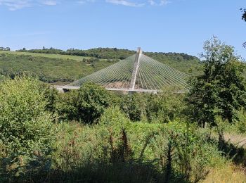 Tocht Stappen Argol - Pont de Terenez 13-07-2022 - Photo