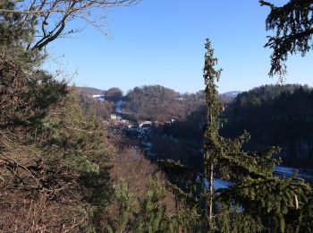 Tour Zu Fuß Weigendorf - Rundwanderweg Weigendorf - Photo