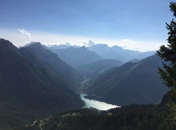 Percorso A piedi Selva di Cadore - IT-568 - Photo